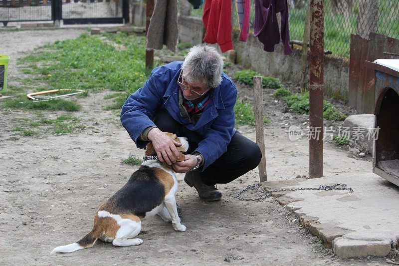 成熟的男人爱狗