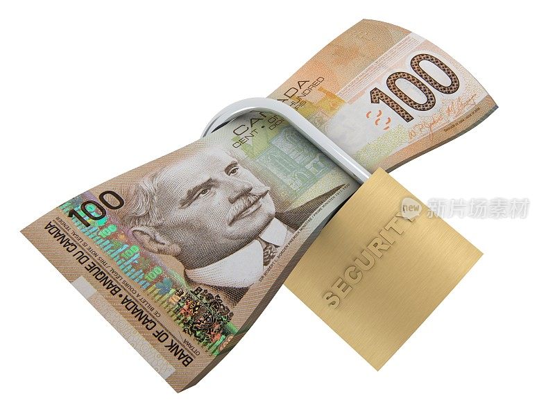 加拿大货币金融安全保护锁保险