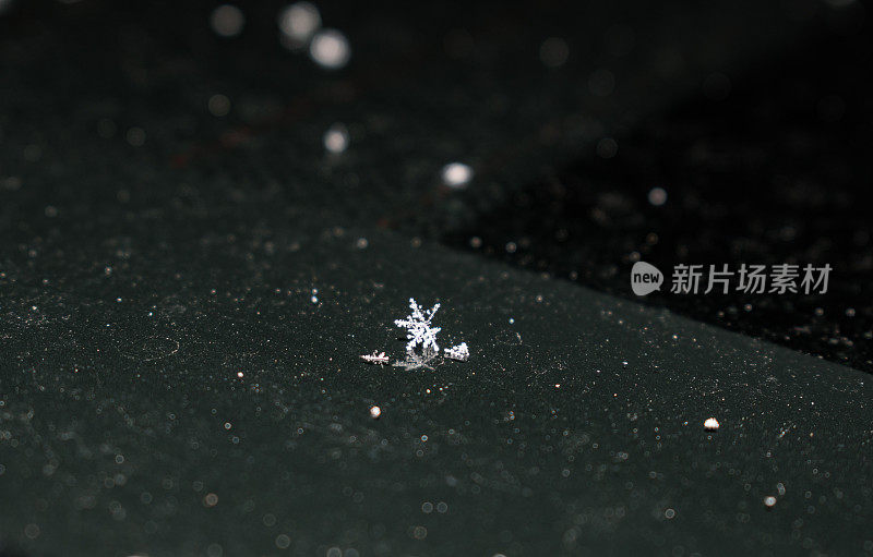 破碎的雪花