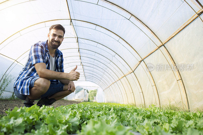 在有机农场种植蔬菜。年轻的农场工人竖起大拇指。