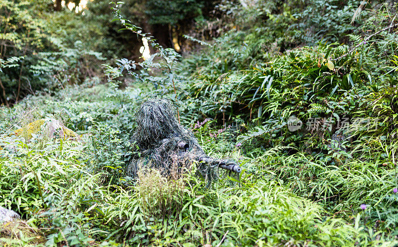 丛林里的步兵狙击手