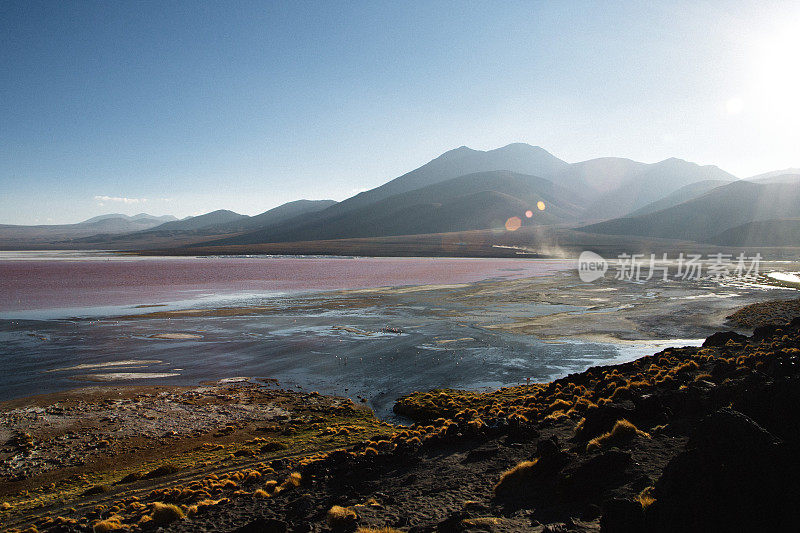 风景秀丽的拉古纳科罗拉多在日落在Altiplano，玻利维亚