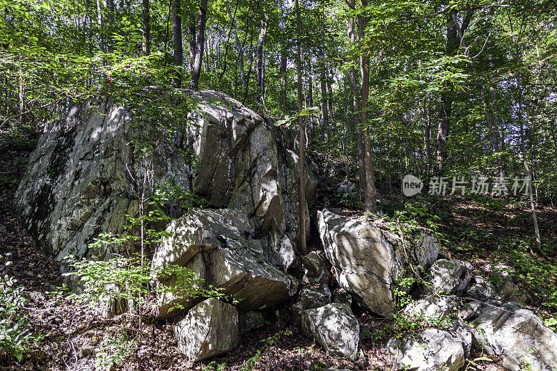 在我们穿过宾夕法尼亚州切斯特县Hibernia公园内的森林时，我们发现了这个巨石被剪断的地方