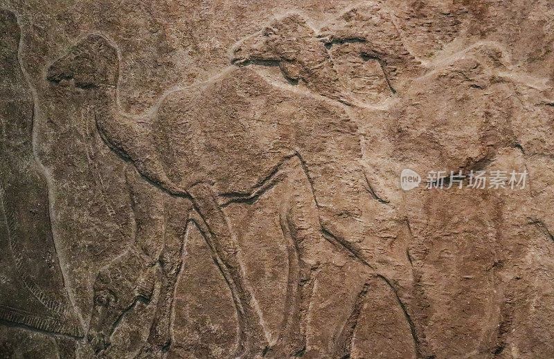 在石头上粗略地雕刻出一排骆驼的浮雕-埃及古代-背景
