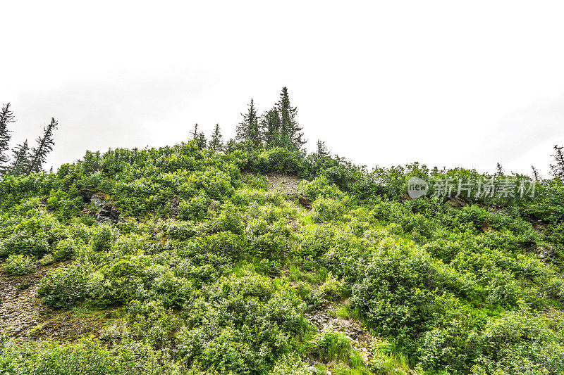 阿拉斯加的风景