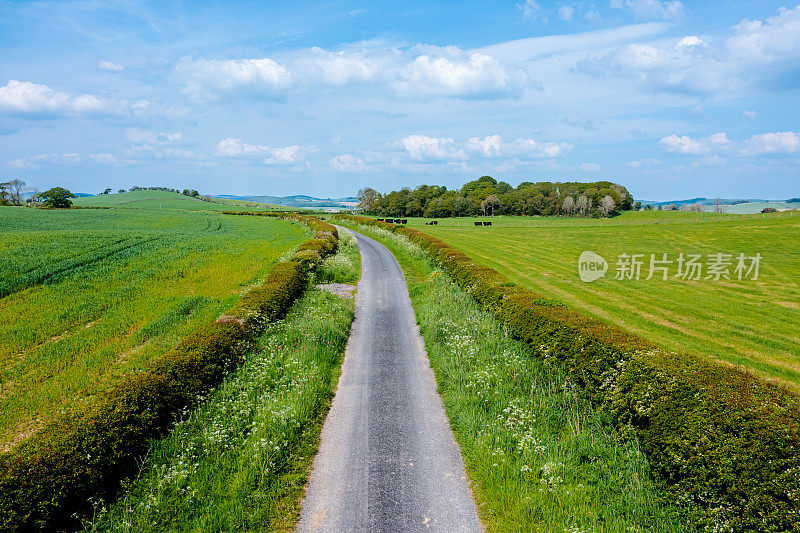 高角度的单一巷乡村道路