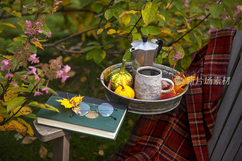在舒适的秋天花园里喝咖啡