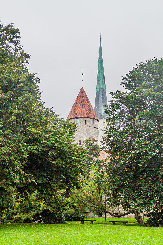 位于爱沙尼亚塔林的防御工事塔和圣奥拉夫教堂