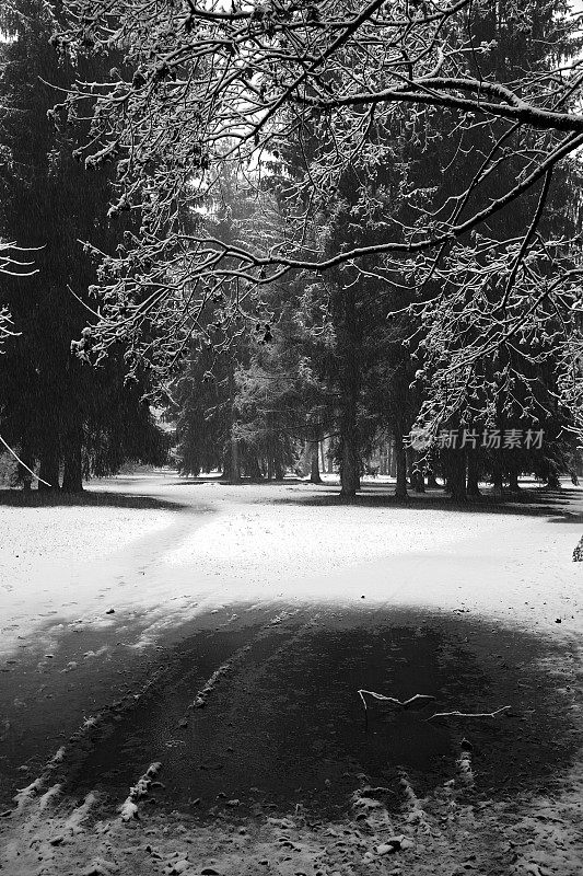 公园在冬天下雪