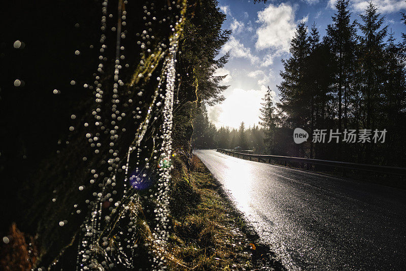 挪威，阳光照射在潮湿的雨路上