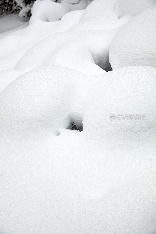 光滑的雪表面与小凸起的树