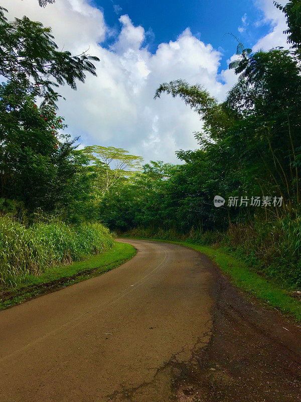 夏威夷的道路