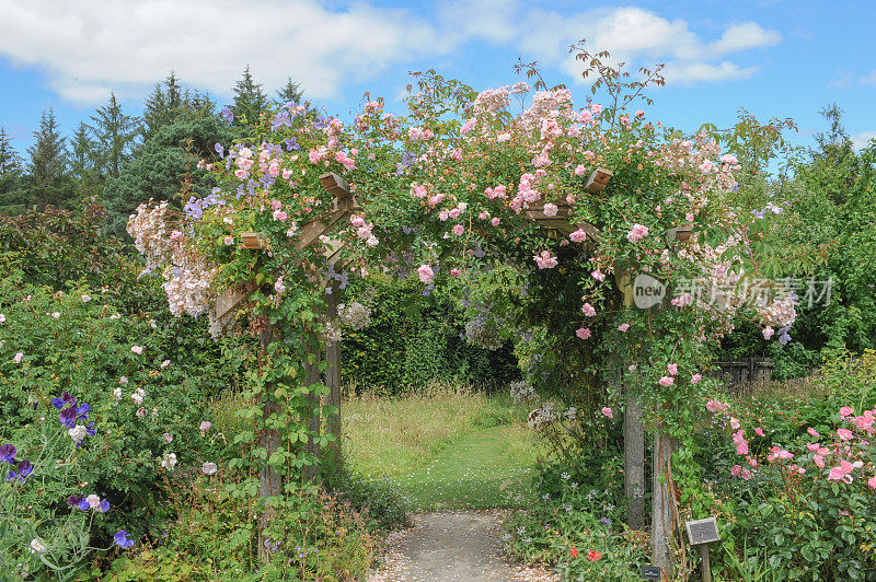 德文郡的传统英国别墅花园。