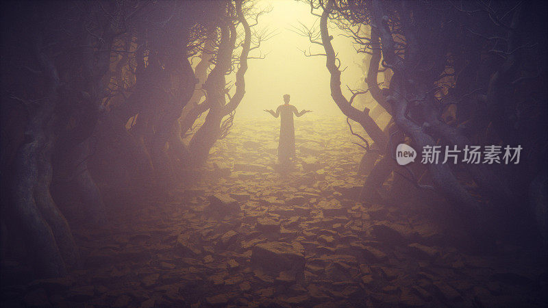 迷雾森林里的牧师。