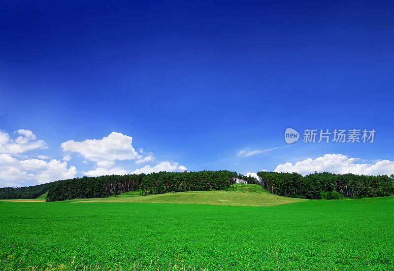 田园诗般的风景-绿色的田野和蓝色的天空