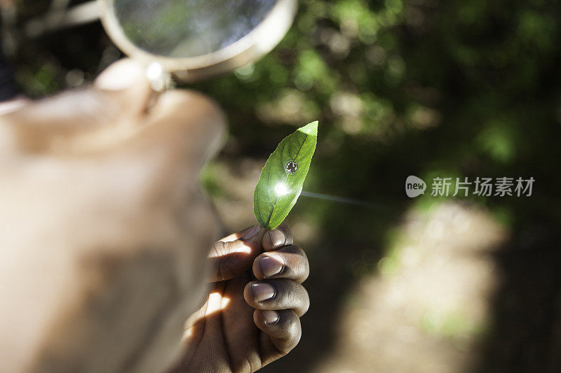 一个非洲人在用放大镜看东西