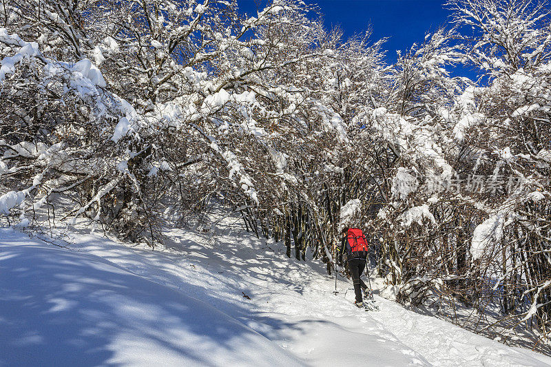 冬天在巴尔多山穿雪鞋