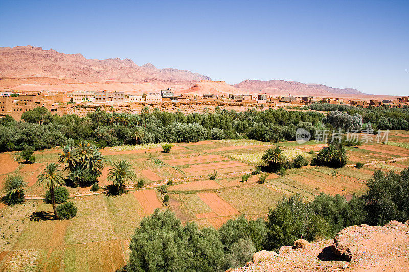 摩洛哥景观