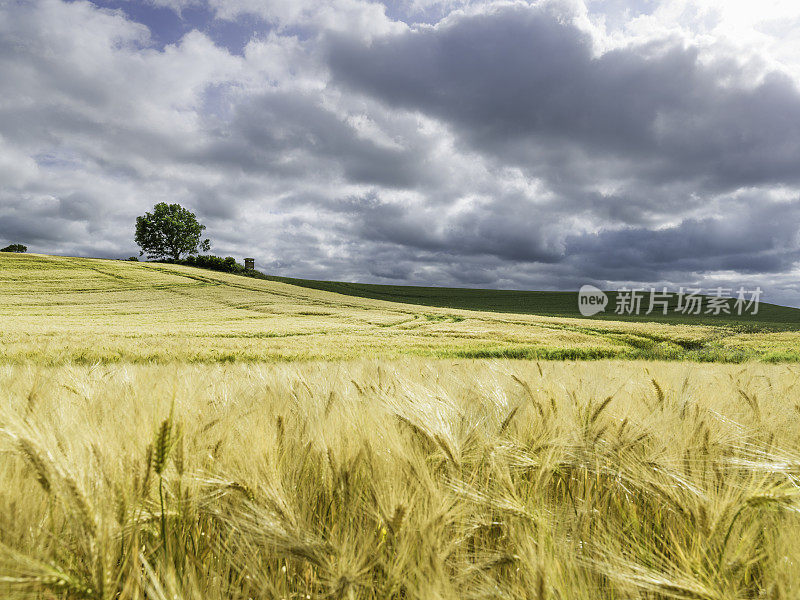 滚动的风景，天使，schleswig-holstein