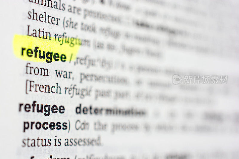 “难民”的定义如字典所示