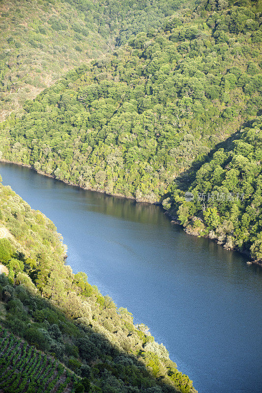 西班牙加利西亚的里贝拉萨克拉地区的西尔河峡谷。