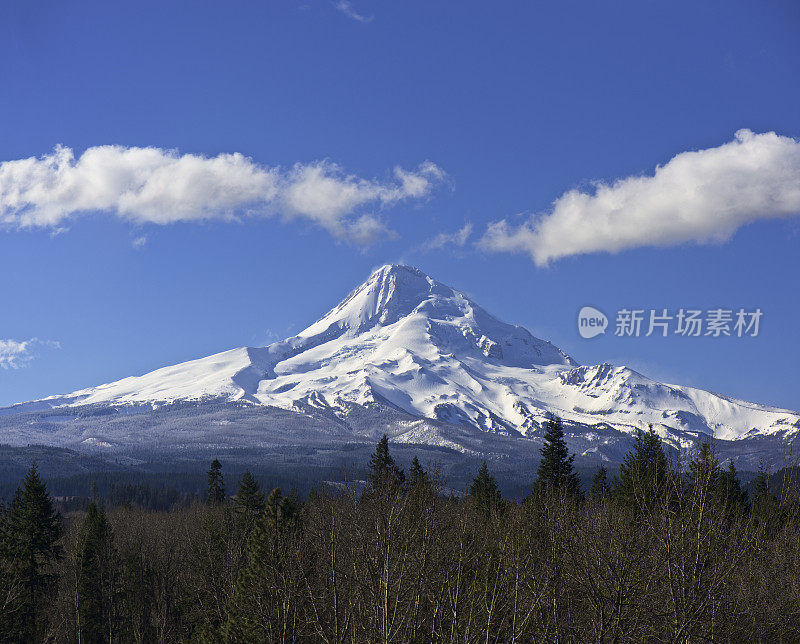 胡德山俄勒冈与雪树蓝天北侧