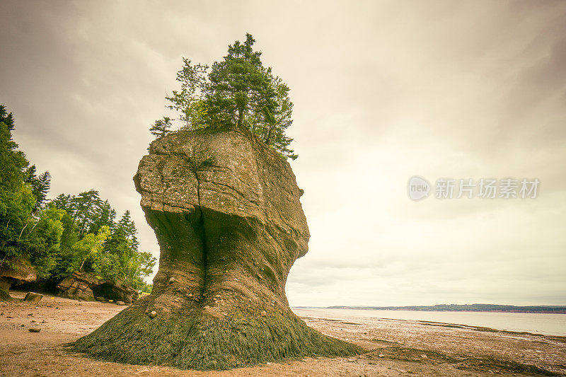 霍普韦尔岩石