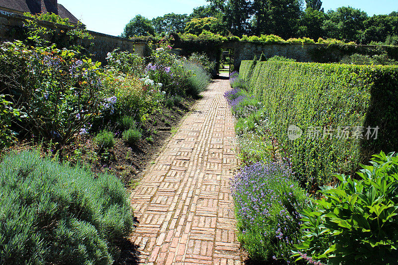 红砖砌成的小径，穿过草本花坛，村舍花园，玫瑰丛，box-hedge