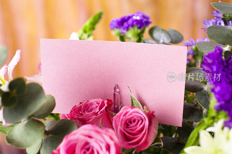 可爱的混合春天玫瑰，紫花蔷薇和桉树卡