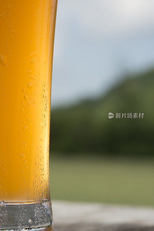 一杯小麦啤酒，啤酒花园啤酒