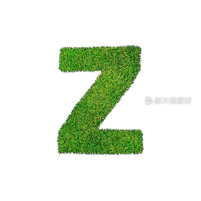 Z草字母字母孤立在白色背景上