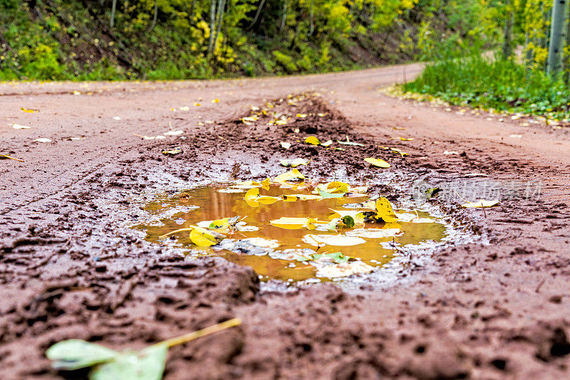 泥泞的道路，水坑和秋天的白杨树叶