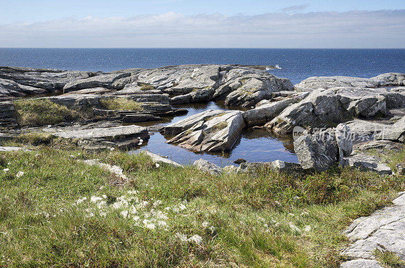 挪威海岸岩石海岸的草和潮汐池