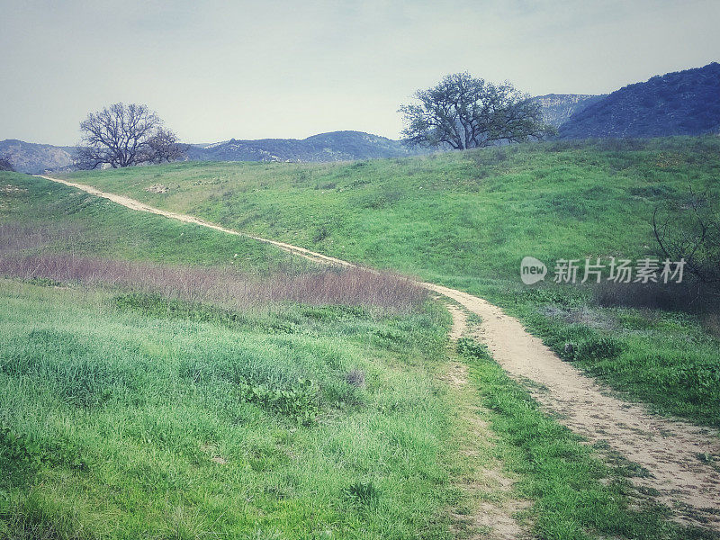 桑迪小径弯曲徒步马道，山麓，派拉蒙牧场，加州