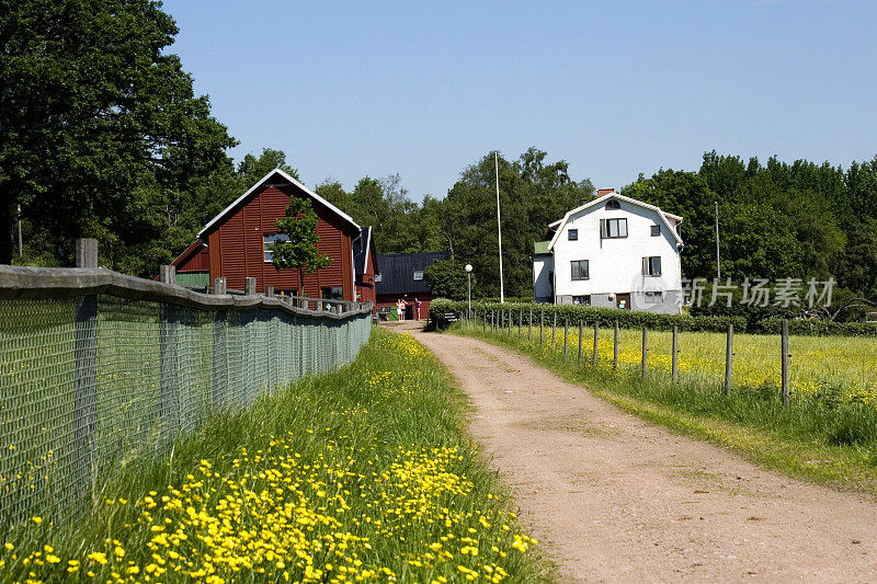 瑞典的农场