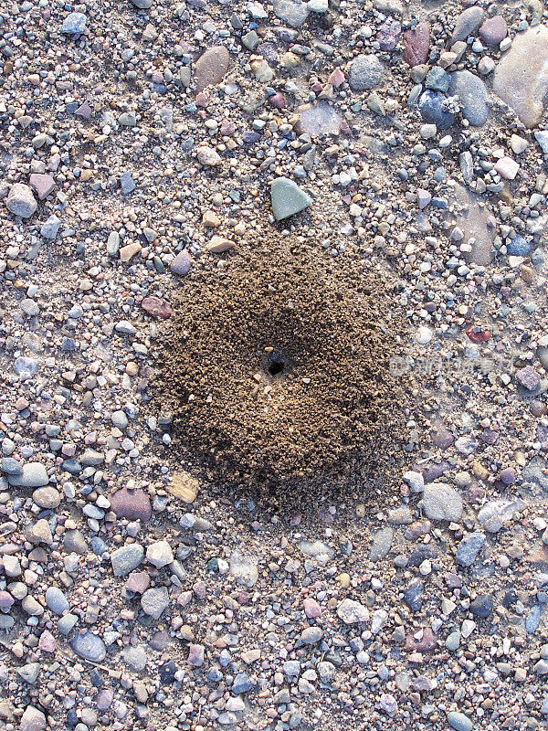 蚁丘的砾石