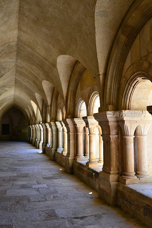 芳塔尼修道院(勃艮第，法国)，修道院