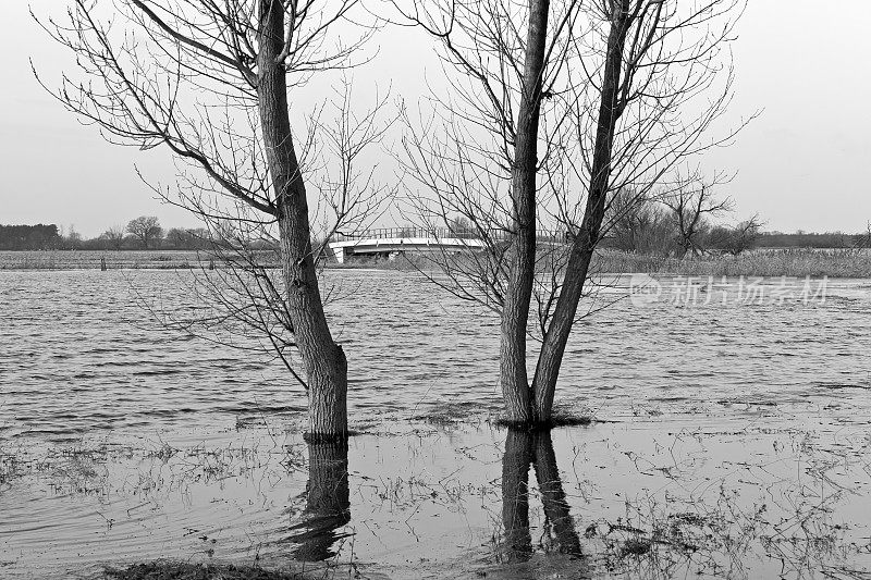 哈维尔河的冬季洪水