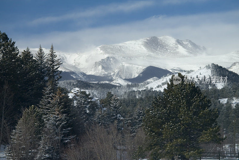 埃文斯山吹雪