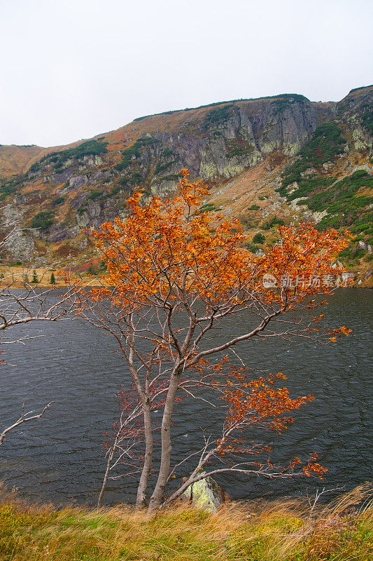 山湖