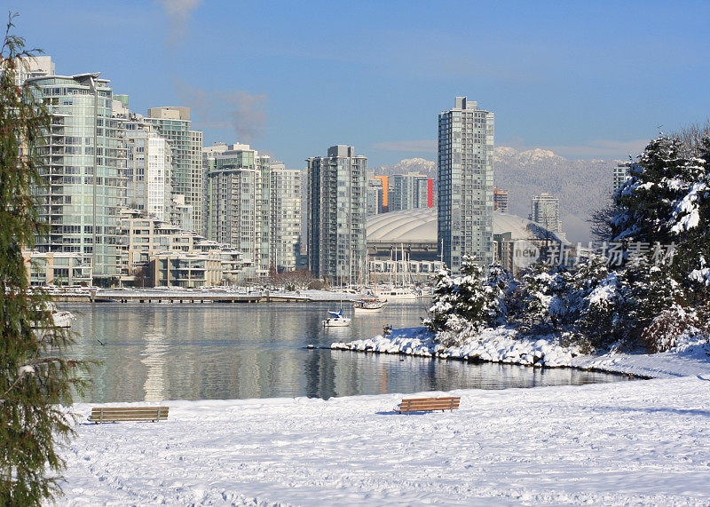 加拿大不列颠哥伦比亚省温哥华市的福斯溪冬季景致