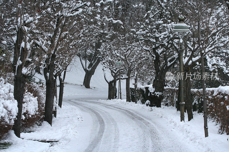 雪大道