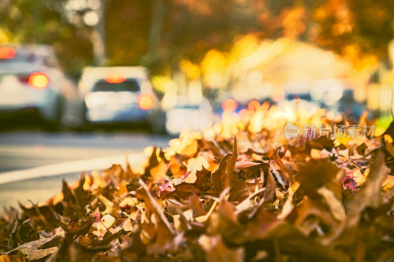 傍晚的太阳，路边堆着秋叶，背景是汽车