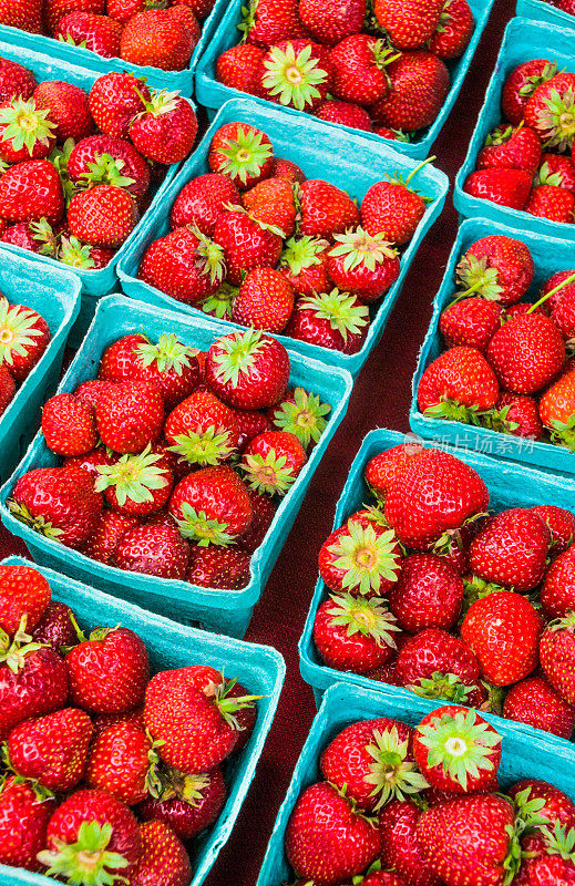 草莓收获