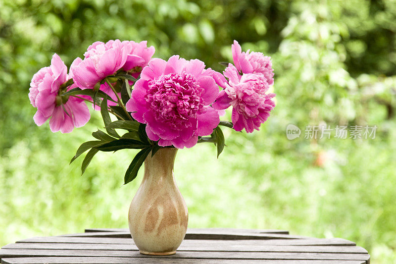花园桌上的花瓶里插着粉红色的牡丹