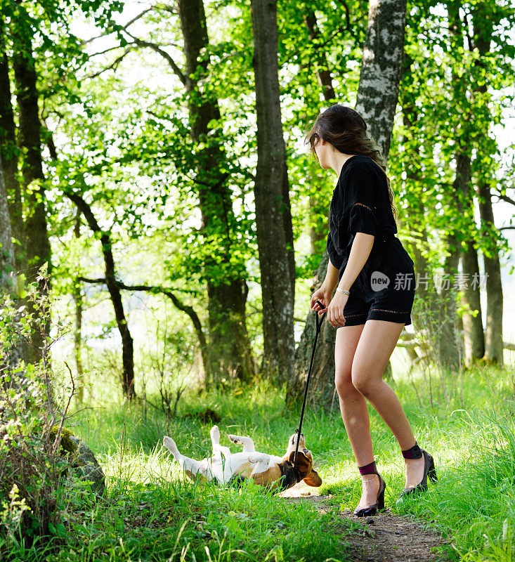 一个年轻女人和一只小猎犬在树林里