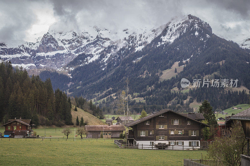 早上伯尔尼兹Oberland