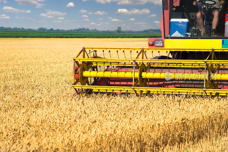 这台收割机在农田上联合收割小麦