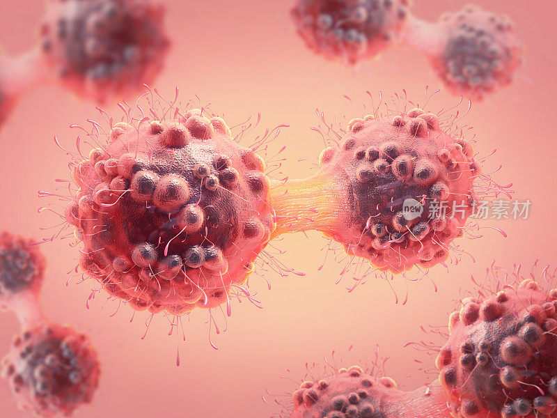 癌细胞有丝分裂过程的三维图像