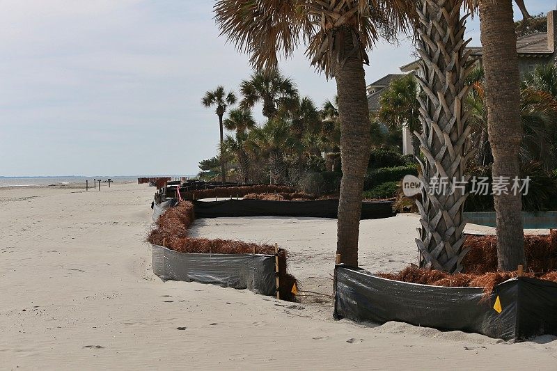 沙障沿海滩海岸房屋保护飓风再生，SC